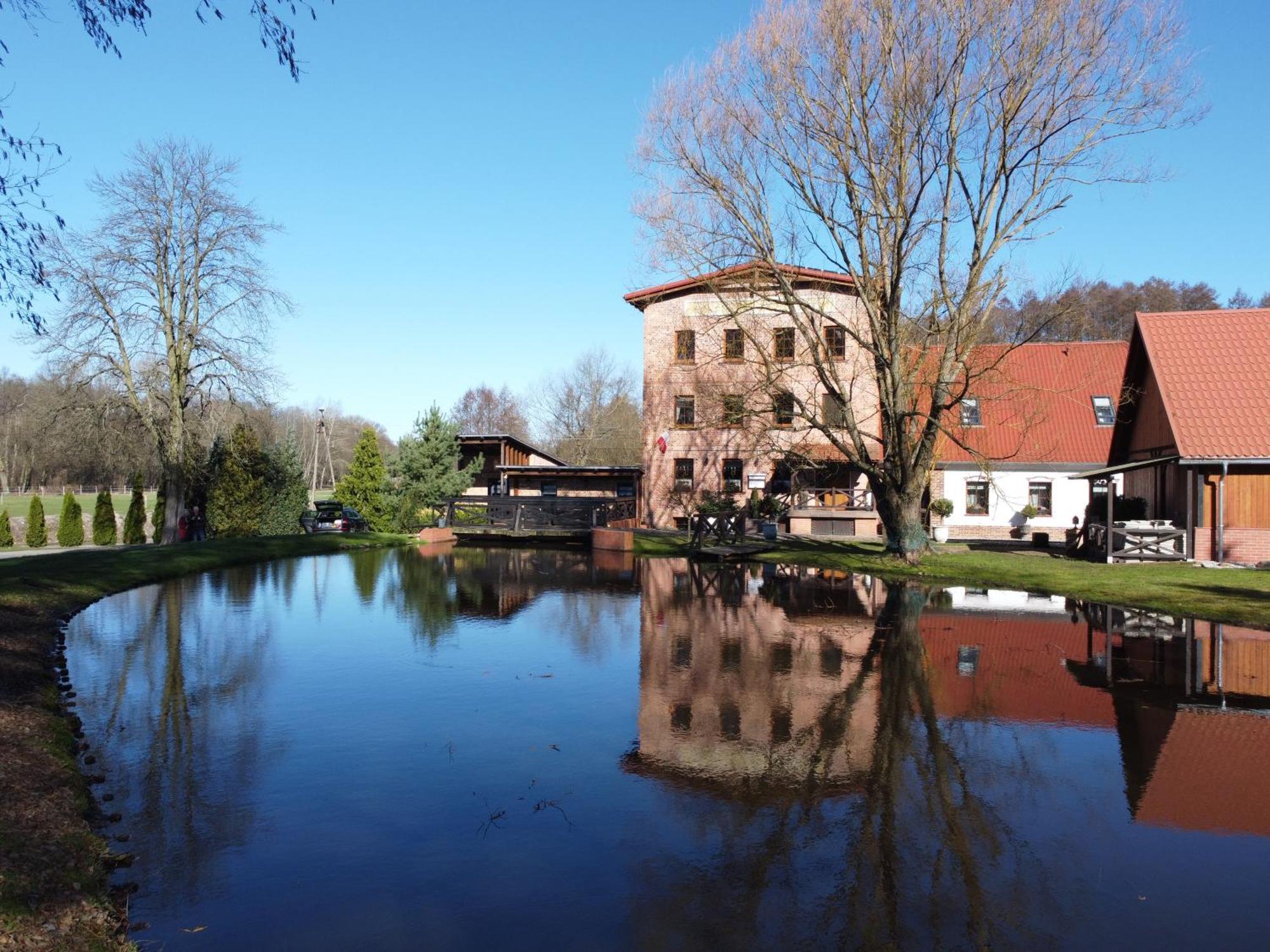 Stary Mlyn W Brzeznicy Villa Brzeznica  Buitenkant foto