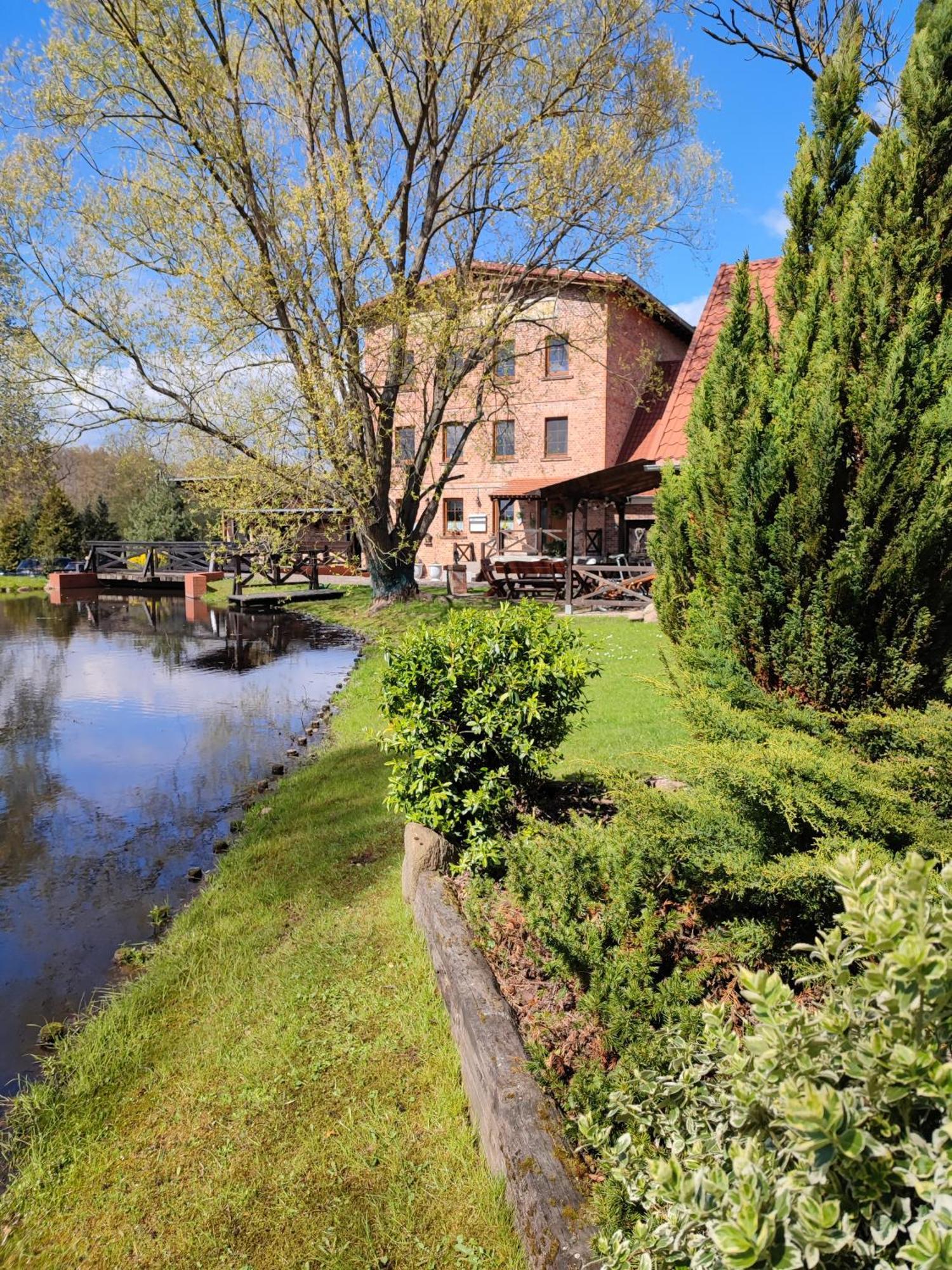 Stary Mlyn W Brzeznicy Villa Brzeznica  Buitenkant foto